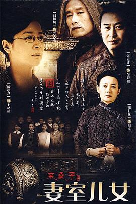 妻室儿女 2009 电视剧 海报