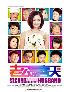 老公的春天 2013 电视剧 海报