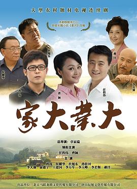 家大业大 2015 电视剧 海报