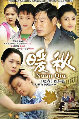 暖秋 2010 电视剧 海报