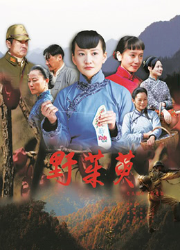 野茱萸 2009 电影 海报