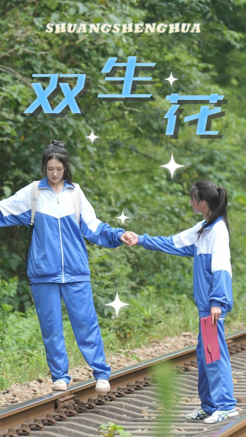 双生花 2024 短剧 海报
