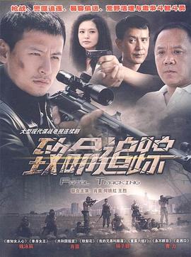 致命追踪 2011 电视剧 海报
