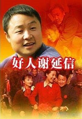 好人谢延信 2008 电视剧 海报