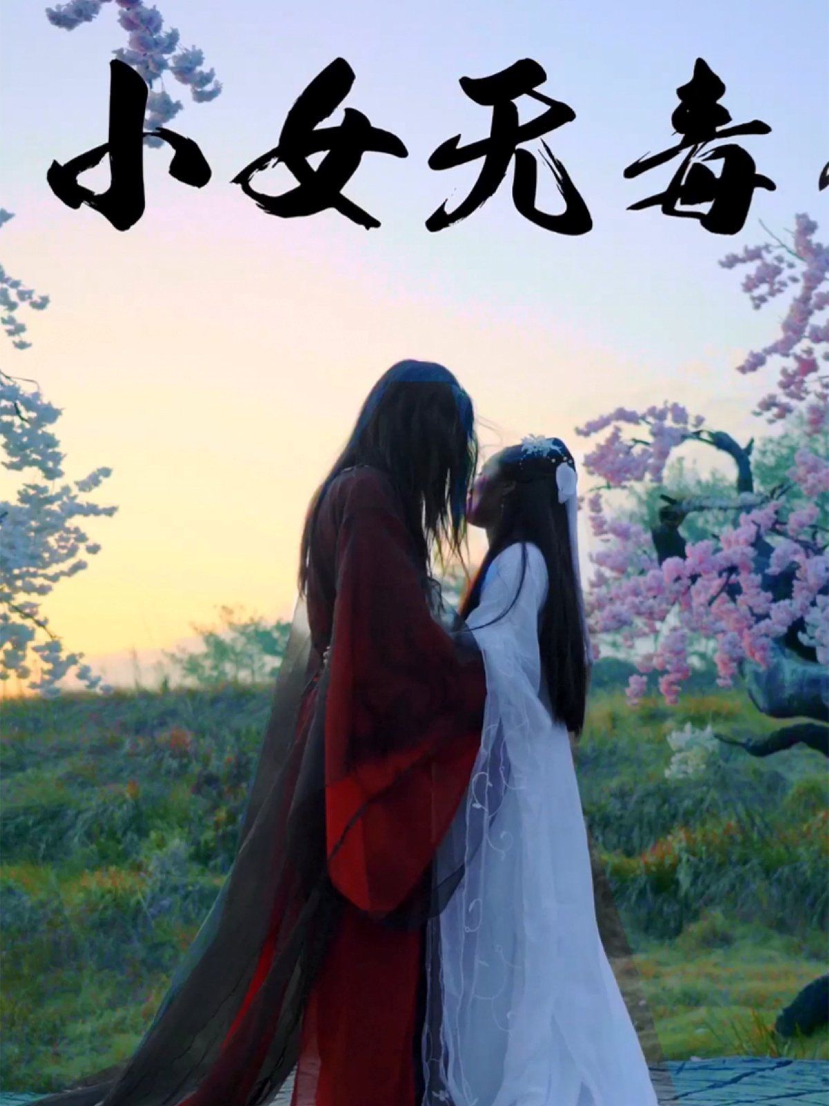 小女无毒 2025 短剧 海报