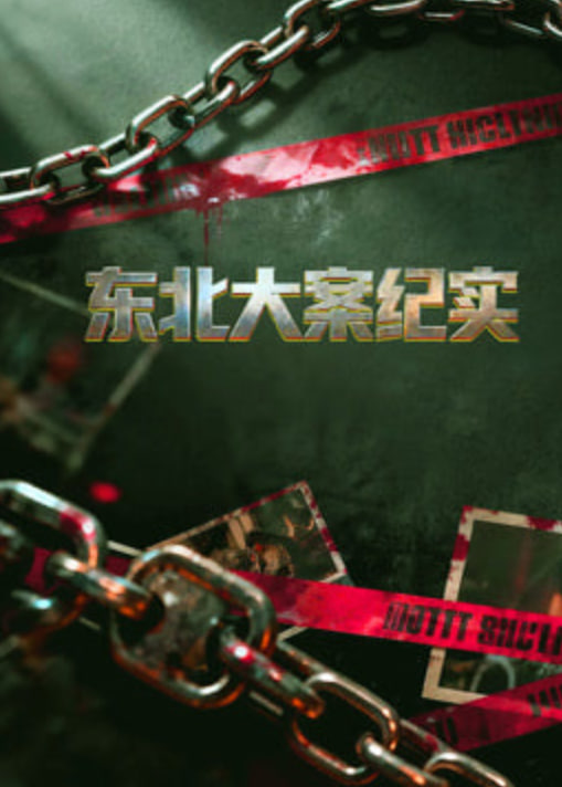 东北大案纪实 2010 综艺 海报