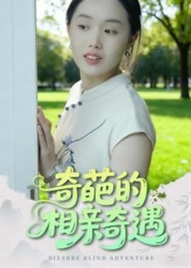 奇葩的相亲奇遇 2025 短剧 海报