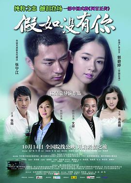 假如没有你 2011 电影 海报