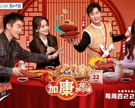 加康加年味 2022 综艺 海报