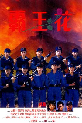 霸王花（国语版） 1988 电影 海报