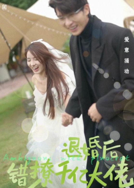 退婚后，错撩千亿大佬 2024 短剧 海报