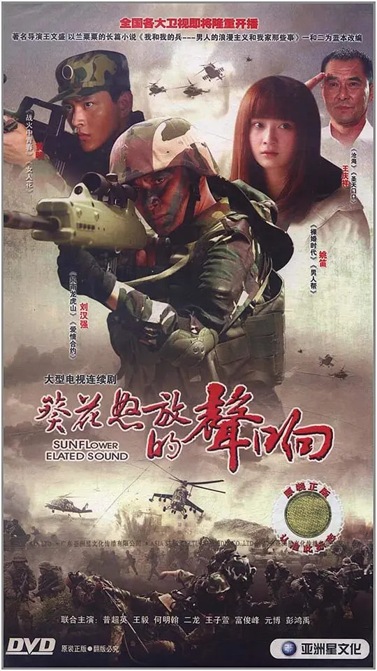 葵花怒放的声响 2010 电视剧 海报