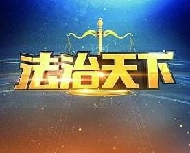法治天下 2015 纪录片 海报