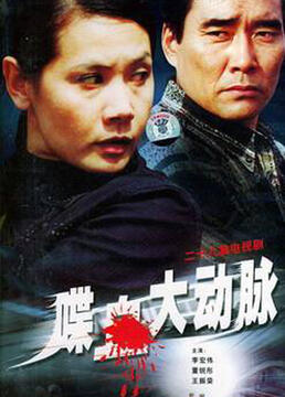 喋血大动脉 2004 电视剧 海报