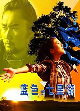 蓝色的七星湖 2011 电影 海报