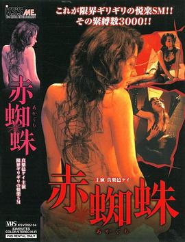 赤蜘蛛 2004 电影 海报