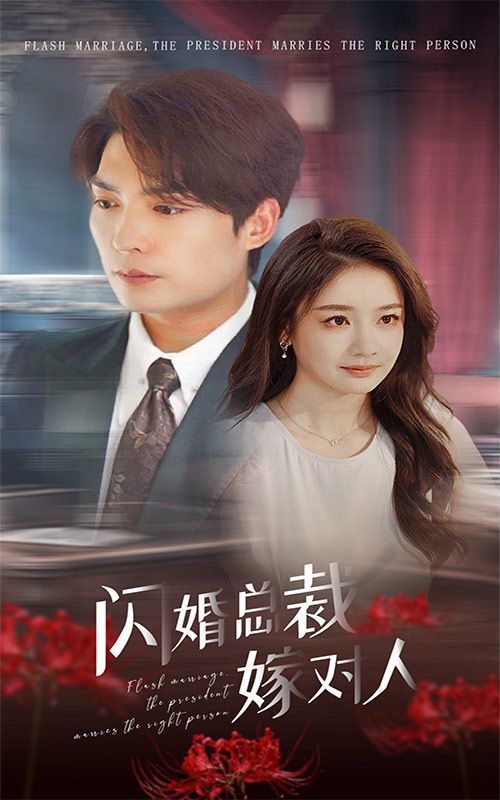 闪婚总裁嫁对人 2024 短剧 海报