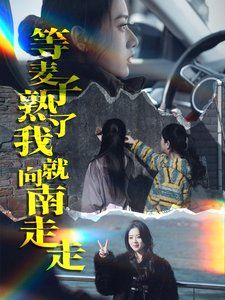 等麦子熟了我就向南走走 2025 短剧 海报