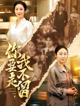 你要走我不留 短剧 海报