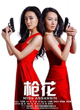 枪花 2013 电视剧 海报