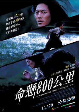 命悬800公里 2009 电影 海报
