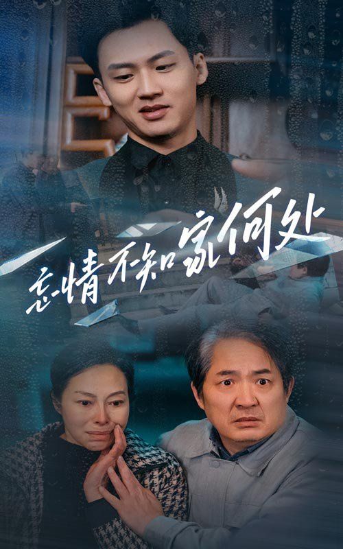 忘情不知家何处 2025 短剧 海报