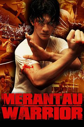 精武战士 2009 电影 海报
