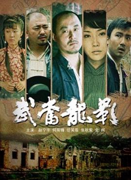 武当龙影 2008 电影 海报