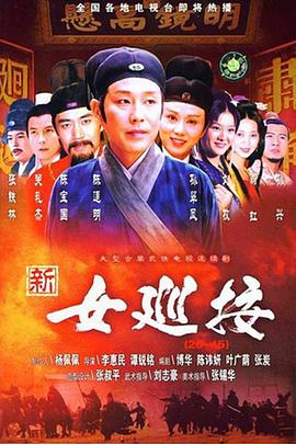 新女巡按 1998 电视剧 海报