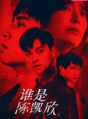 谁是陈凯欣 2022 电视剧 海报