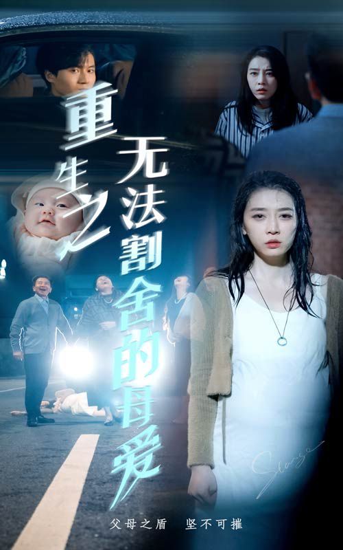重生之无法割舍的母爱 2024 短剧 海报