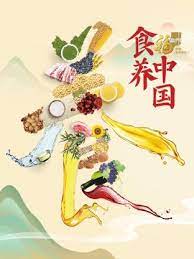 食养中国 2023 综艺 海报