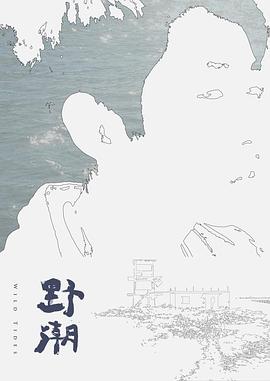 野潮 2016 电影 海报
