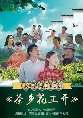 茶乡花正开 2021 电视剧 海报
