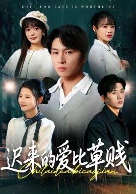 迟来的爱比草贱 2026 短剧 海报