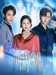恨明月高悬独不照我，错位月光 2025 短剧 海报
