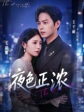 夜色正浓（2026） 2026 短剧 海报