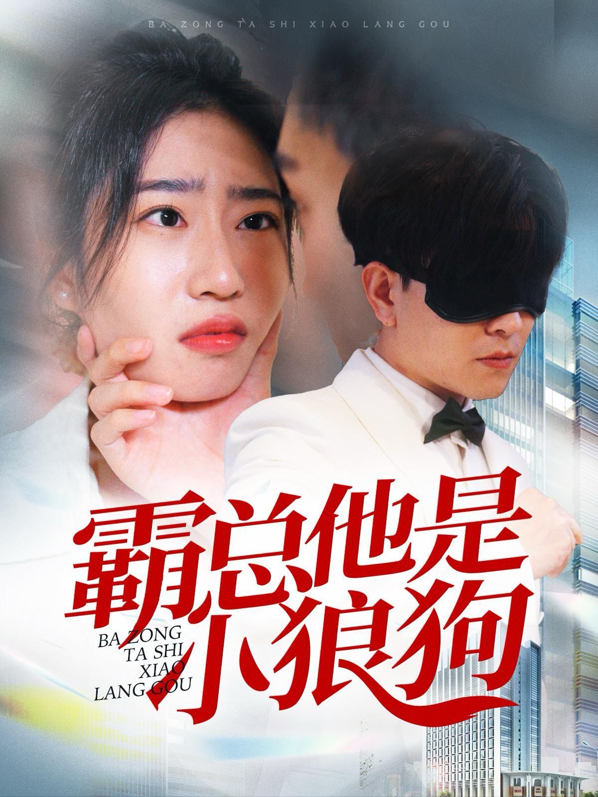 霸总他是小狼狗 2024 短剧 海报