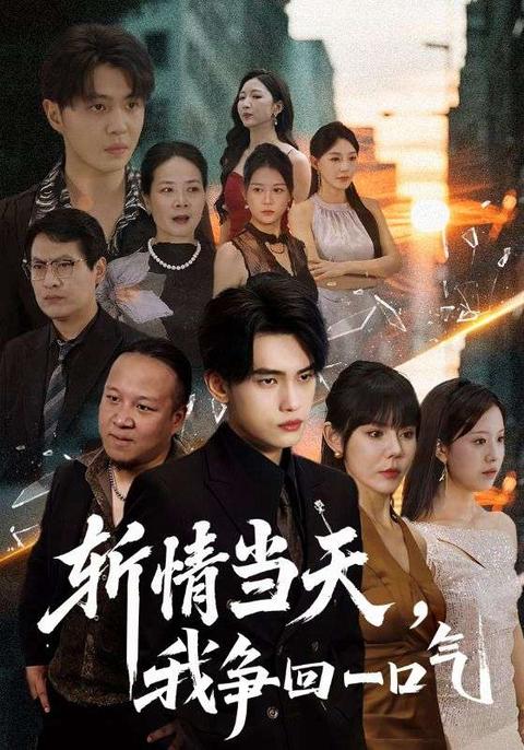 斩情当天我争回一口气 短剧 海报