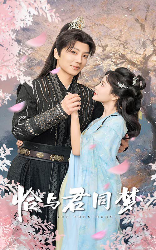 恰与君同梦 2025 短剧 海报