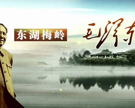 东湖梅岭毛泽东 2013 纪录片 海报