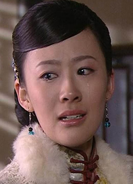 宅门劫 2009 电影 海报
